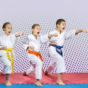 Martial Arts Lessons for Kids in Danvers MA - Punching Focus Kids Sync
