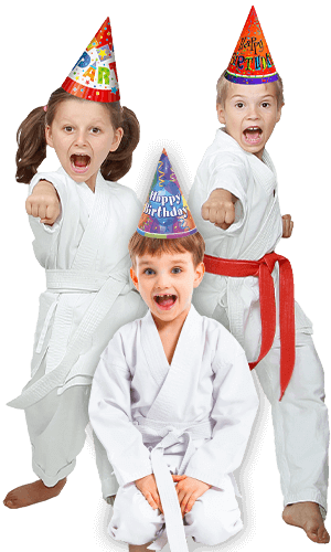 Martial Arts Birthday Party for Kids in Danvers MA - Birthday Punches Page Banner